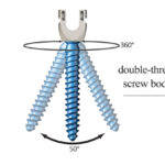 Spine Thoraco Lumbar