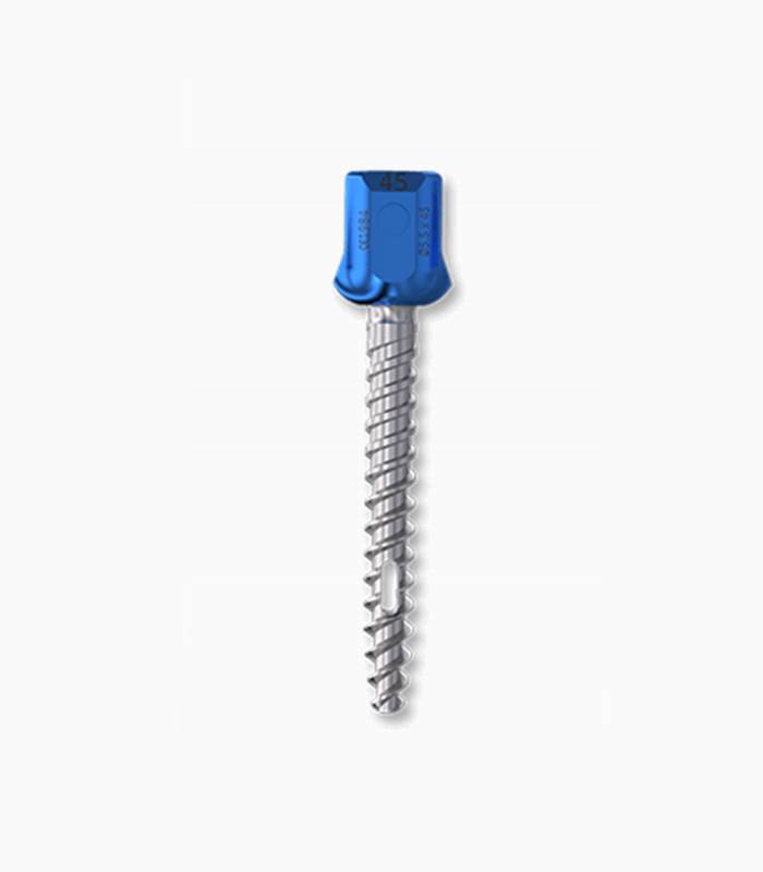 Cement Injectable Screw Spinal Fixation System